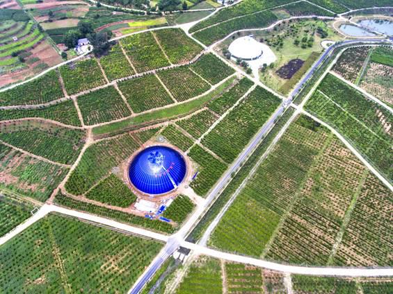 鸟瞰农博园