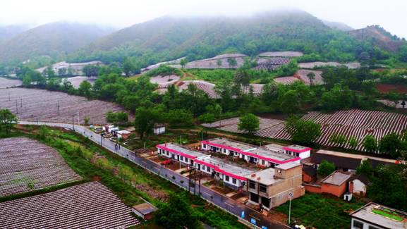 DJI_0087_副本