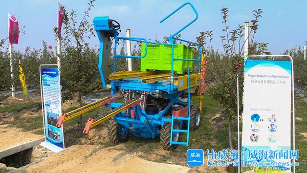 http://www.weihai.gov.cn/picture/0/s_a979445c921b49338e5090e058f89799.jpg