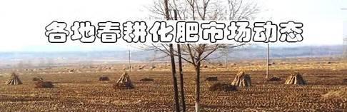 20140316_140413aa.JPG
