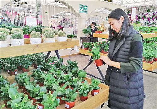 http://www.farmer.com.cn/xwpd/btxw/201711/W020171129343283955942.jpg