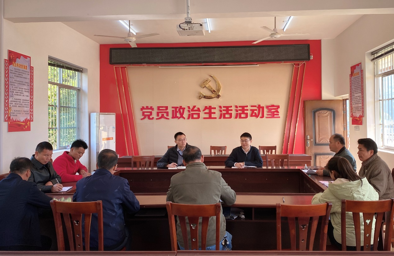 国家发展改革委派驻田东县挂职干部到结对共建村开展学习党的十九届六中全会精神主题党日活动