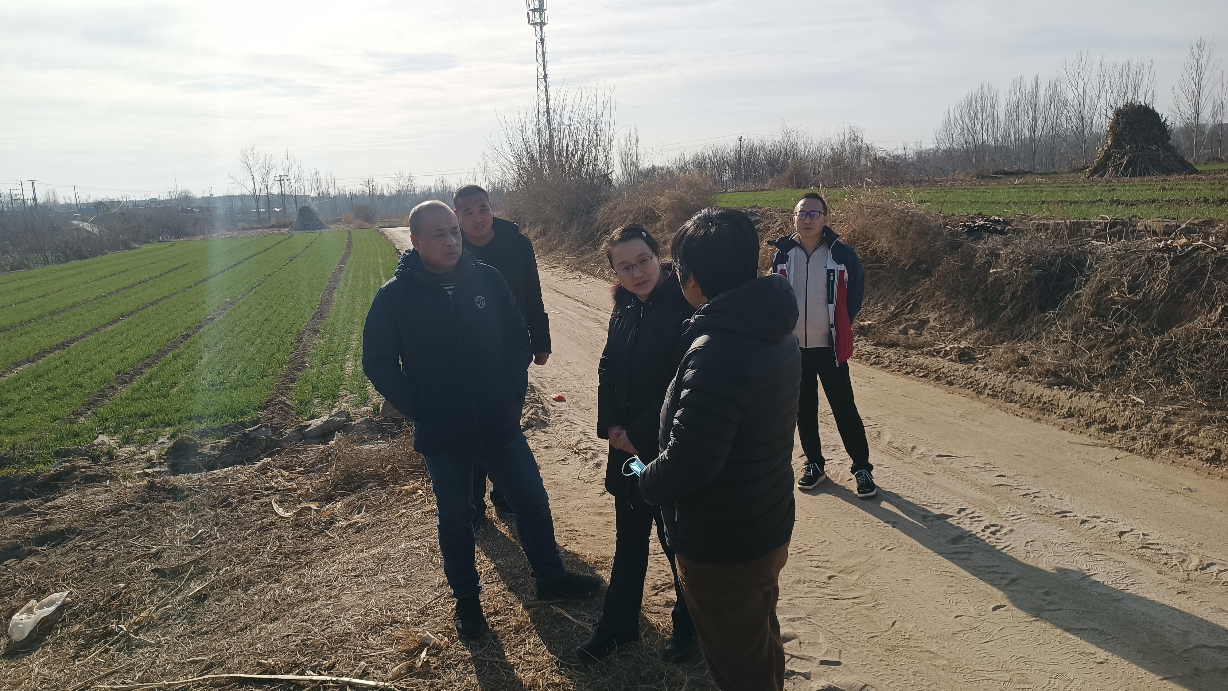 国家发展改革委派驻灵寿县挂职干部调研高标准农田建设