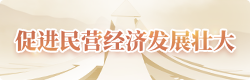 促进民营经济发展壮大.png