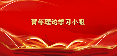 青年理论学习小组.png