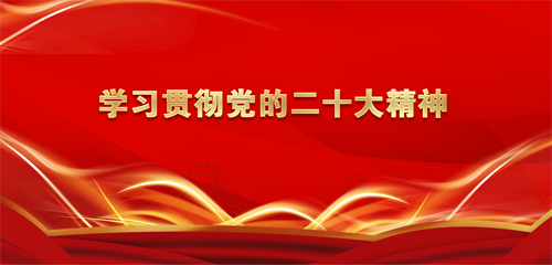 学习贯彻党的二十大精神.png