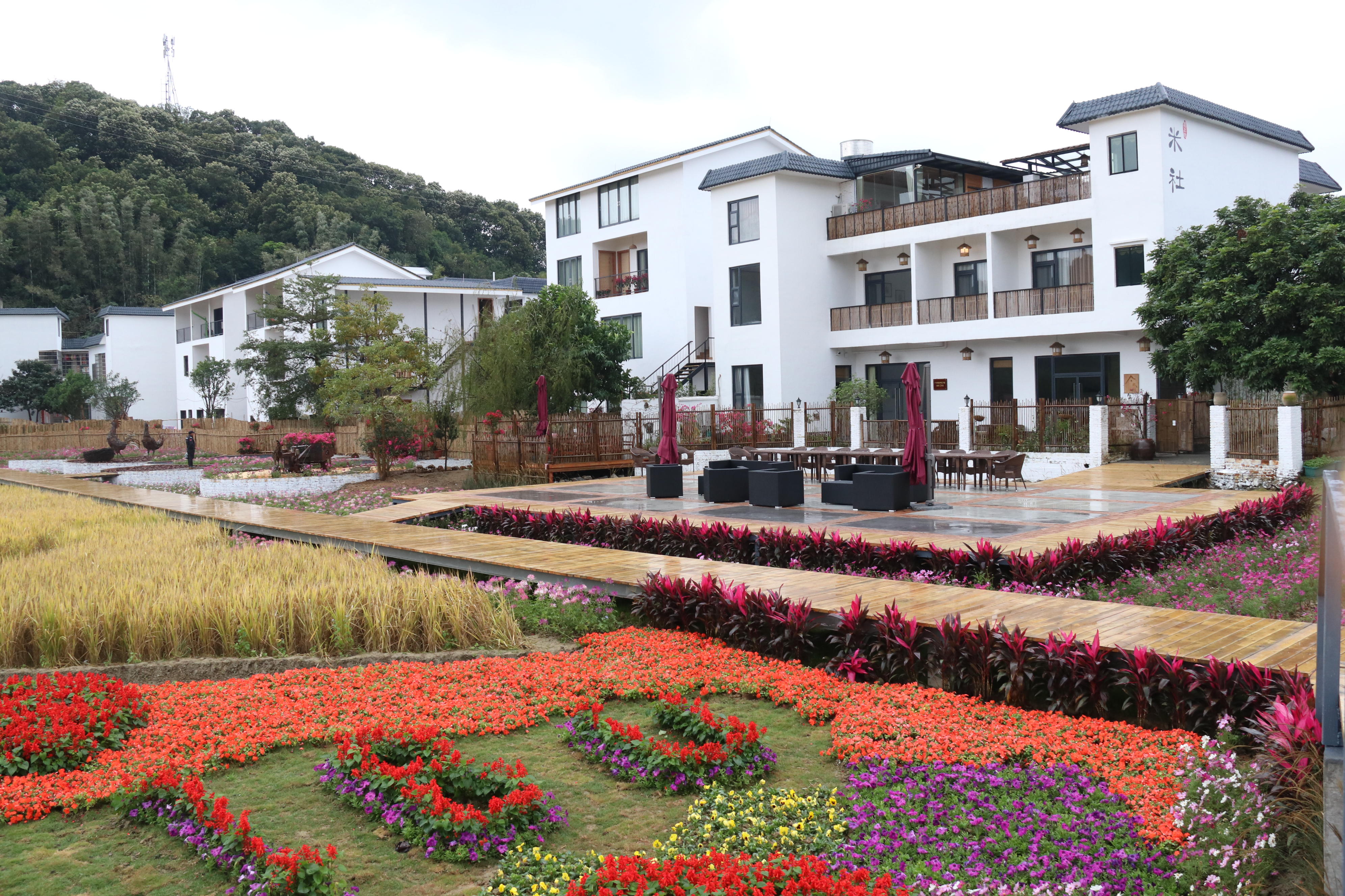 从化良口镇米埗村景点图片